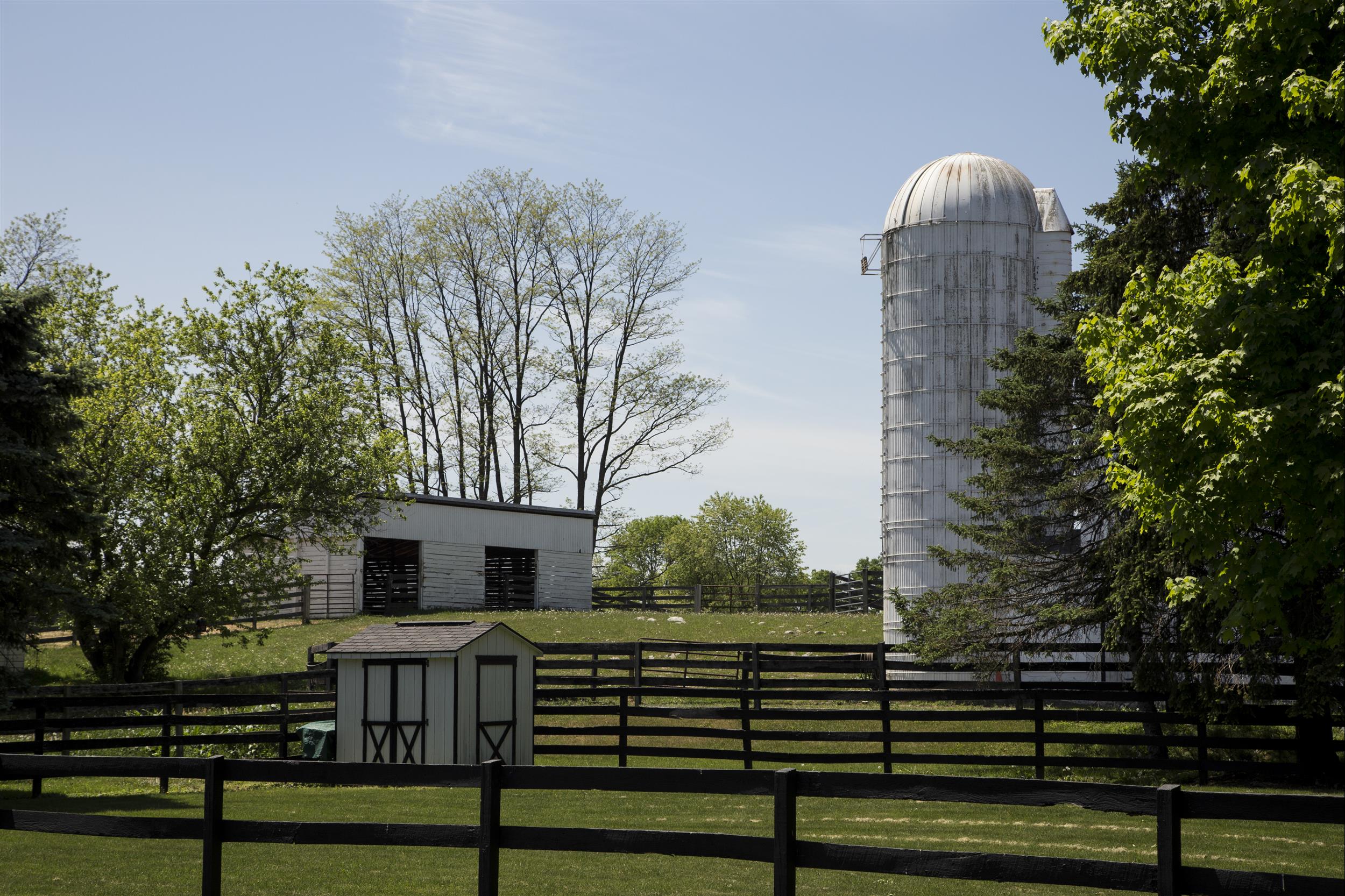 Silo-and-green-pastures.jpg