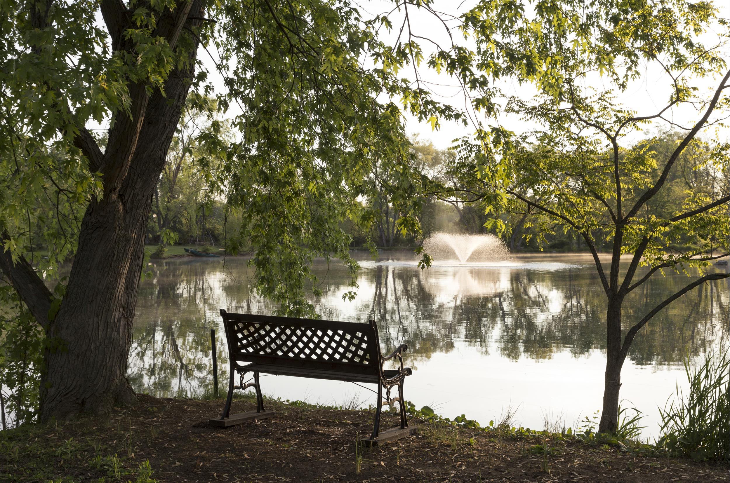 shaded-bench-overlooking-lake.jpg